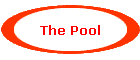 The Pool
